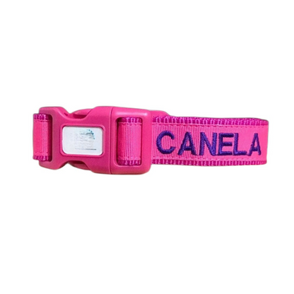 Collar de Identificación Personalizado