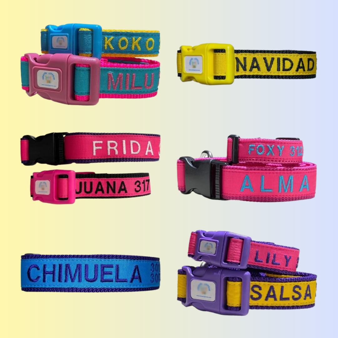 Collar de Identificación Personalizado