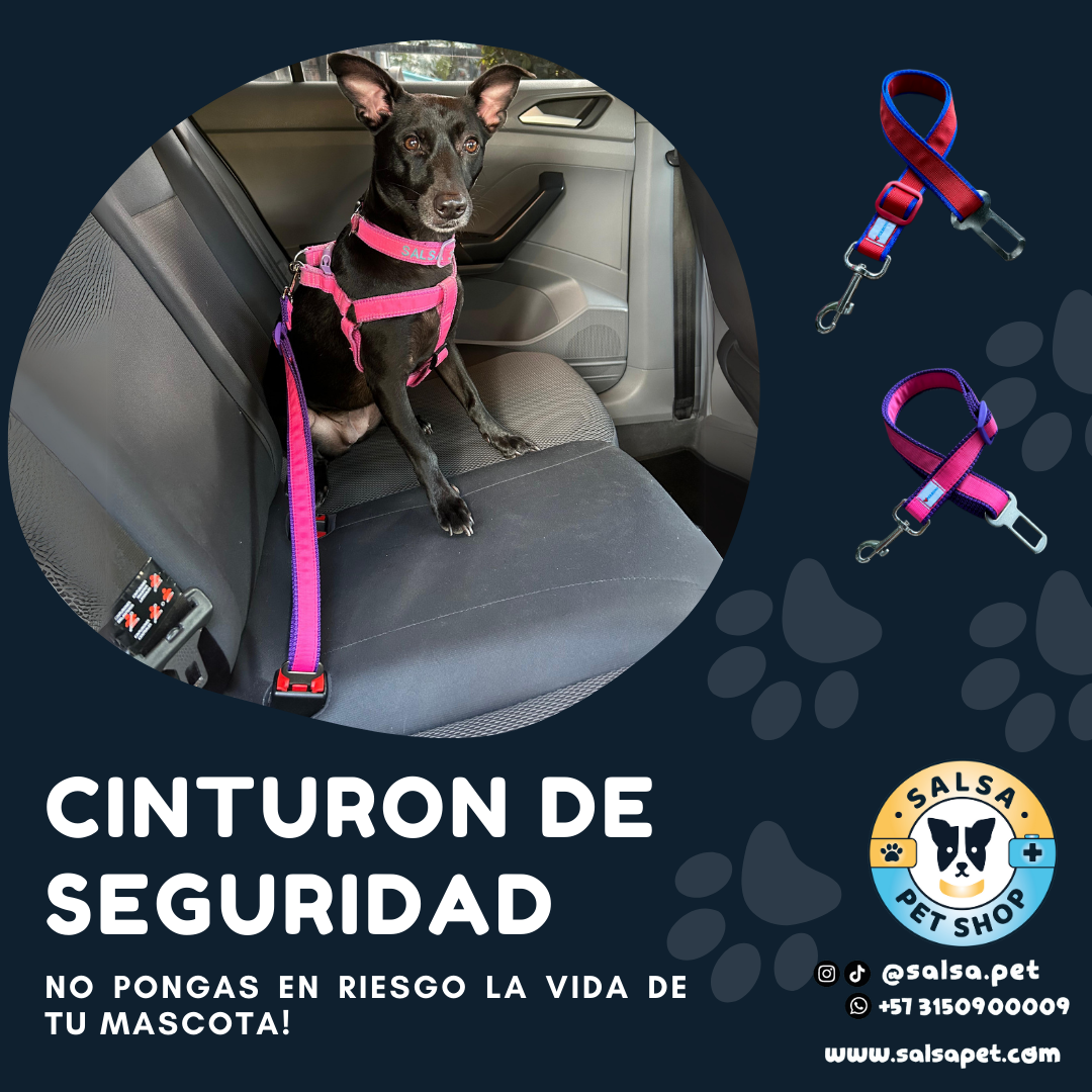 Cinturon de Seguridad para Mascotas